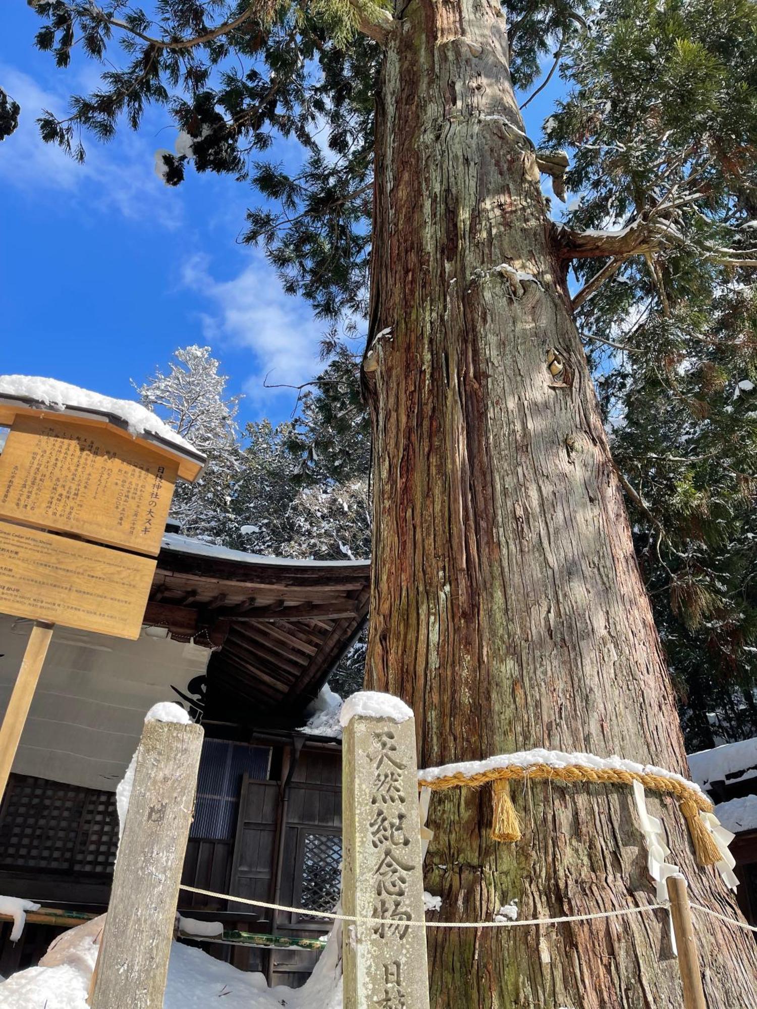 Rickshaw Inn Takayama  Exterior photo